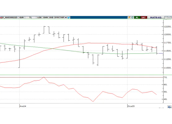 DOLAR/TL YAKIN VADE