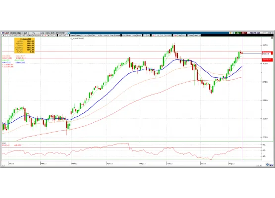 BİST30 AĞUSTOS VADE
