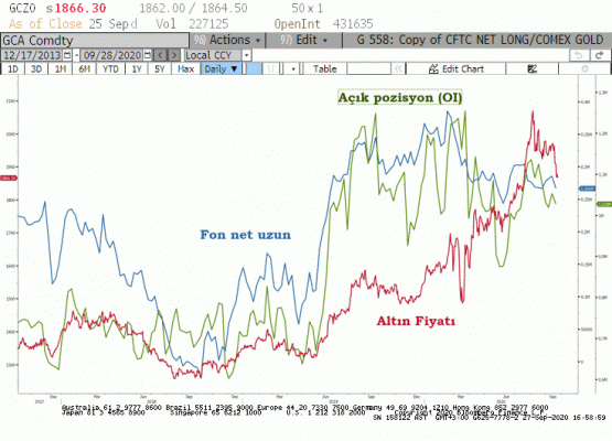 COMEX Altın Derinlik (COT) 