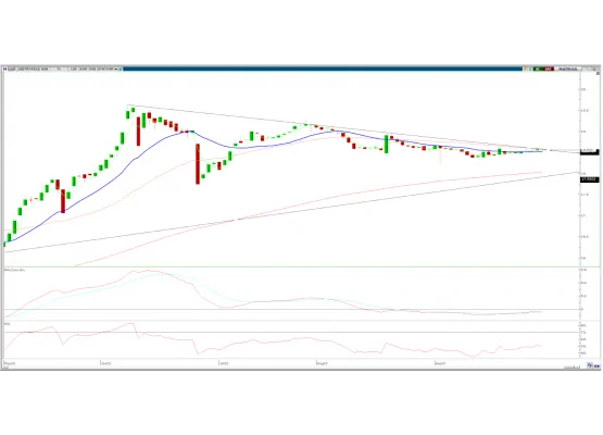 DOLAR/TL EYLÜL VADE