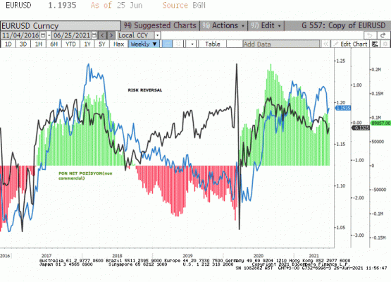 Euro (COT) derinlik raporu 