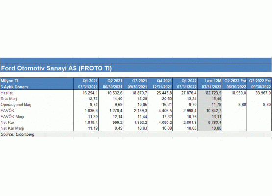 Şirket özet finansalları